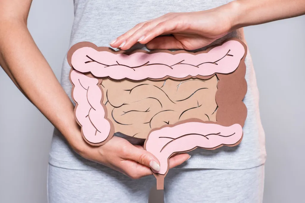 Una mujer sostiene en sus manos un dibujo de un intestino.