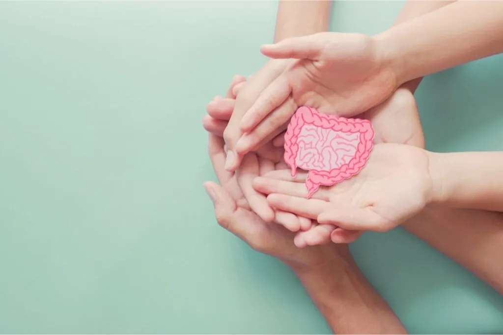 Manos sosteniendo una figura ilustrada del intestino, simbolizando el cuidado de la salud intestinal y el sistema digestivo.
