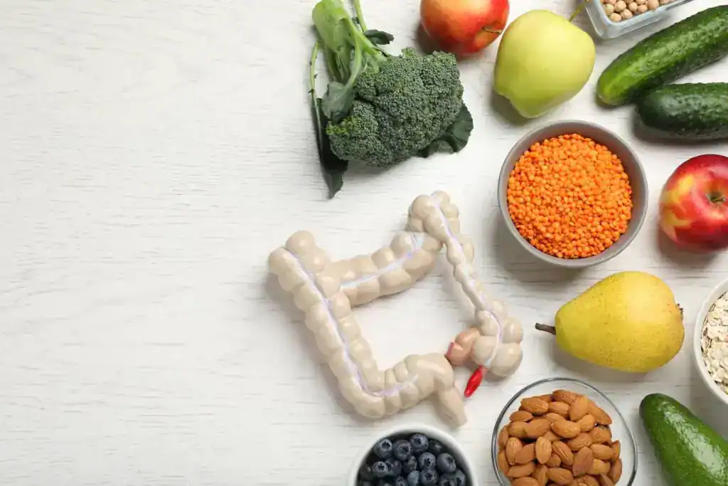 Modelo de intestino junto a alimentos beneficiosos como brócoli, lentejas, manzanas, almendras, arándanos y avena sobre fondo blanco